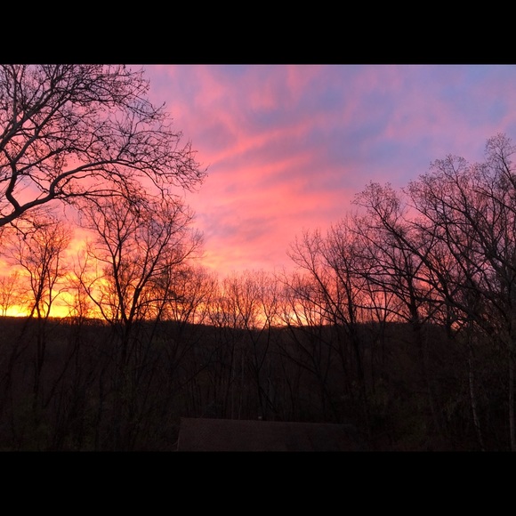 Meet your Posher, Lisa - Picture 1 of 1